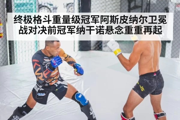 MMA fighter training